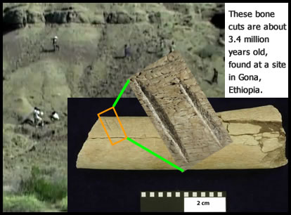 bone cuts from 3.4 million years ago